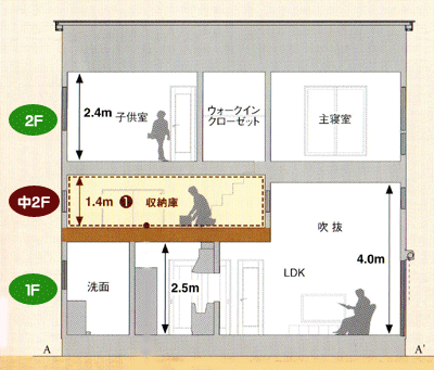 横断面図